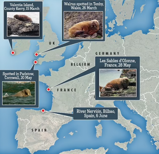 사진=데일리메일