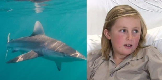 무태상어(자료사진)와 인터뷰하는 소년의 모습