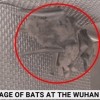 [영상] “우한연구소 내에 박쥐 있었다”…中 주장 반박 근거 공개돼