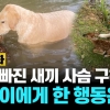 [이슈플릭스] 호수에 빠진 새끼 사슴 구해준 댕댕이, 다음날 어미와 찾아와