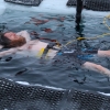 [영상] 해빙 깨고 만든 천연 수영장…남극 한복판서 수영하는 연구원들