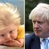 영국 존슨 총리와 헤어스타일 똑 닮은 3개월 아기 화제
