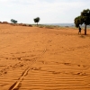 [안녕? 자연] 죽음 부르는 가뭄…가죽·진흙 먹는 마다가스카르 현실