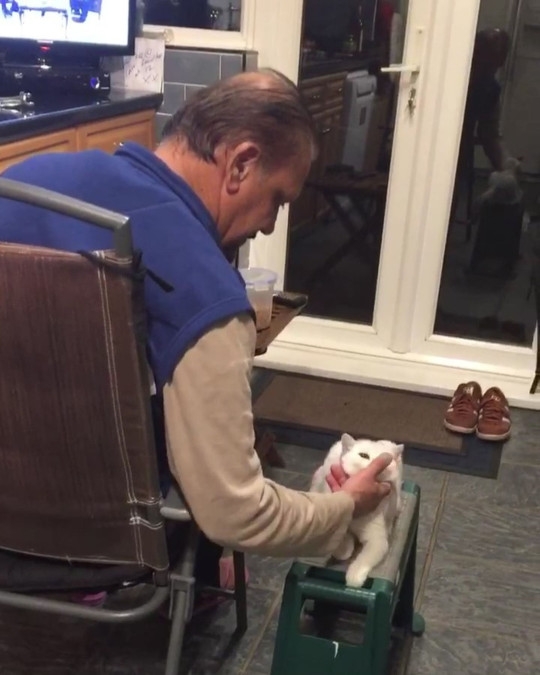 아버지가 고양이 앤지를 아들 몰래 귀여워 해주고 있는 모습.