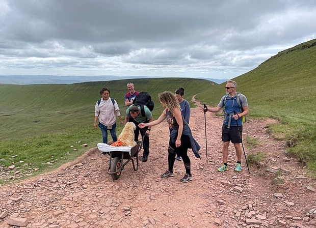 어떤 이들은 몬티의 마지막 여정에 함께하고 싶다는 뜻을 전했다. 프레스코는 “몬티가 탄 손수레를 함께 끌어도 되겠냐 물어왔다. 그렇게 여러 사람과 함께 손수레를 밀고 끌며 정상에 도착할 수 있었다”고 설명했다.