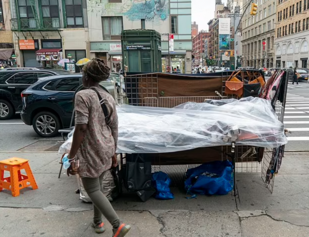 미국 뉴욕 맨해튼의 차이나타운이 명품 브랜드의 짝퉁 상품을 파는 거리로 변모했다. 현지 경찰의 감독권이 축소된 결과다.