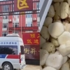 [여기는 중국] 먹은 후 구토와 복통…불량 급식에 성난 中 학부모들
