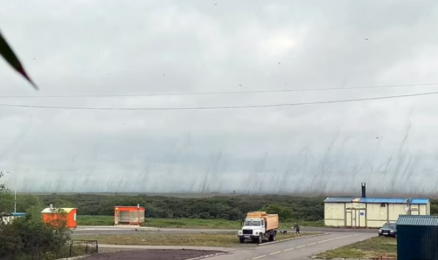 러시아 현지시간으로 17일 극동 캄차카 지역에 등장한 대규모 모기떼. 사진 시베리안타임스