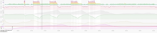 오스트리아 빈 공과대학교에서 수학을 전공한 키젠호퍼는 2012년 영국 케임브리지대학교 수학 석사, 2016년 스페인 카탈루냐공과대학교 수학 박사 학위를 취득했다. 현재 스위스 로잔공과대학교에서 연구와 강의를 병행하고 있다. 이번 올림픽에 출전하며 키젠호퍼는 자신의 학업적 성취를 십분 활용했다. 4일에는 자신의 트위터에 열 적응 프로토콜에 관한 연구 그래프를 공유했다./안나 키젠호퍼 트위터