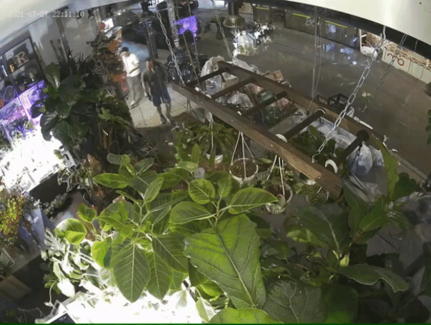 abc7에 따르면 탄 트웬이 사망한 지난달 27일 밤 10시쯤 로어 맨해튼의 한 꽃가게 앞에서는 68세 아시아계 여성이 생면부지 백인 남성에게 묻지마 폭행을 당했다.