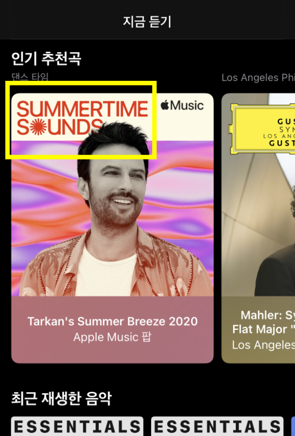 지난 6월 한 블로그에 올라온 애플 뮤직 캡쳐 사진