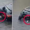 [영상] 홍수로 물에 잠긴 차량 밀어내는 견주 돕는 기특한 견공