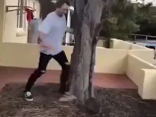 2017년 쿼카를 발로 찬 혐의로 기소돼 벌금형을 받은 남성