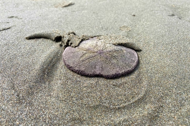 사진=시사이드 아쿠아리움