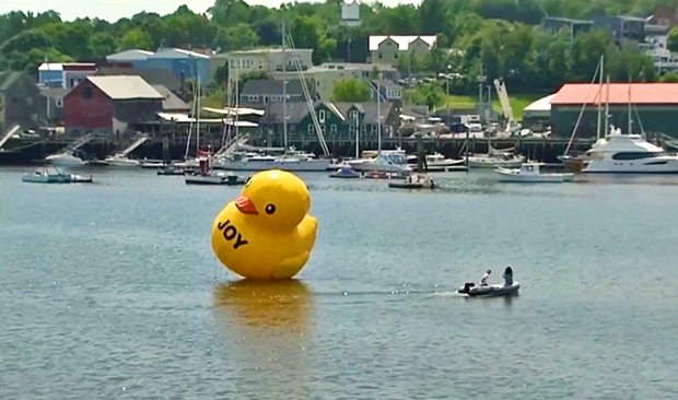 17일 NBC뉴스는 미국 메인주 벨패스트시 항만에 정체 모를 거대 고무오리가 나타났다고 보도했다.