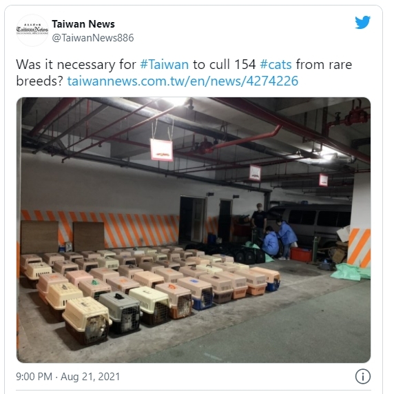 지난 19일 대만으로 밀수입된 고양이 154마리는 전염병 예방 및 통제에 관한 현지법에 따라 모두 안락사됐다.