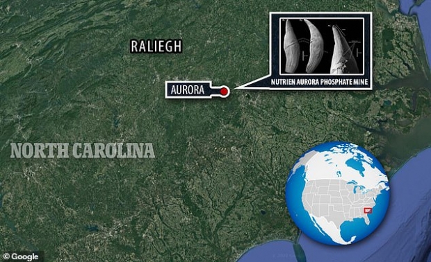 고대 향유고래 이빨 화석이 발견된 미국 노스캐롤라이나주 오로라에 있는 인산염 광산의 위치를 나타낸 지도.(사진=구글)