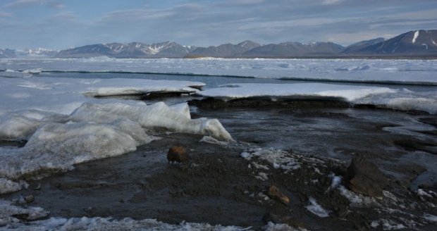 덴마크 북극 연구진이 지난달 그린란드에서 발견한 ‘세계 최북단 섬’