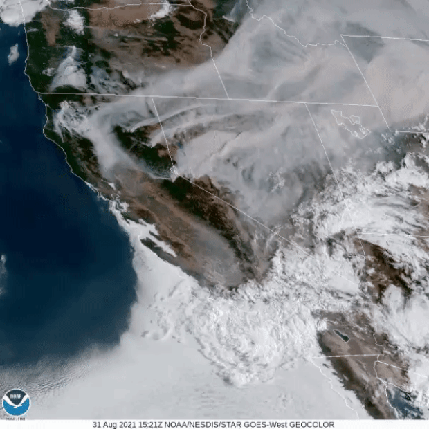 8월 31일 미 국립해양대기청 환경위성자료정보센터(NOAA/NESDIS)가 지구기상 관측위성 GOES-WEST로 본 미국 서남부. 서부는 산불로, 남부는 허리케인으로 뒤덮인 모습이다.