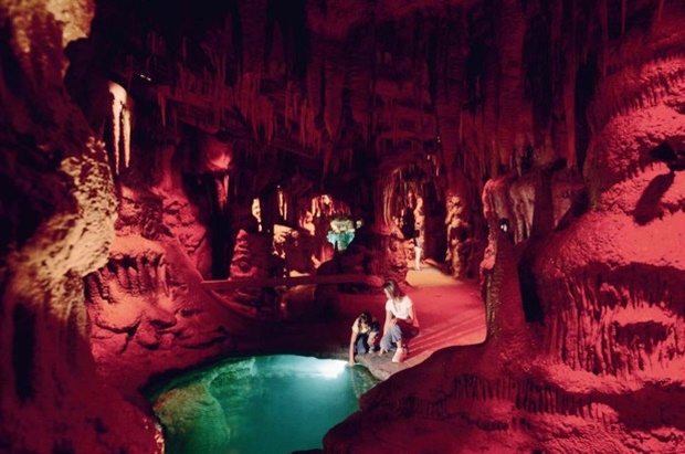 지난 7월에도 네브래스카주의 한 야생공원 관람객 186명이 광견병을 옮기는 박쥐에 노출돼 예방접종을 했다.