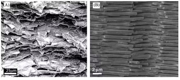 새로운 유리 소재(A)와 진주층의 미세 구조.(사진=사이언스)