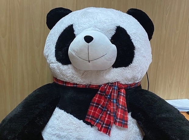 절도범의 아파트를 수색하는 과정에서 경찰은 도난당한 인형을 발견하고 압수했다고 전했다.