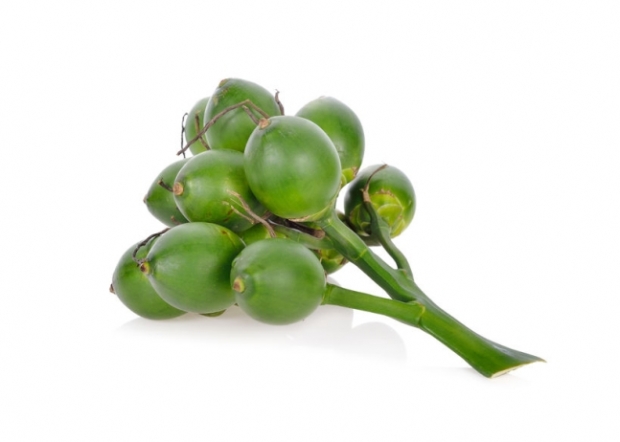 빈랑나무 열매 자료사진 123rf.com