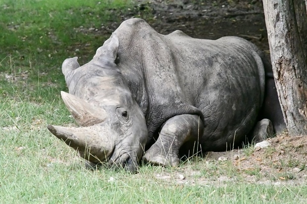 사진=파르코 나투라 비바 동물원