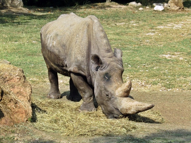 사진=파르코 나투라 비바 동물원