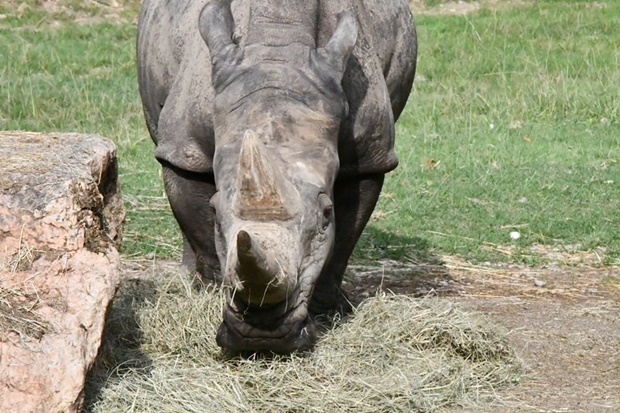 사진=파르코 나투라 비바 동물원