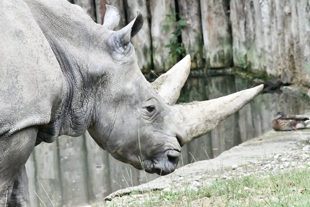 사진=파르코 나투라 비바 동물원