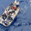 허술한 보트타고 쿠바 탈출 주민들, 극적으로 크루즈선에 구조