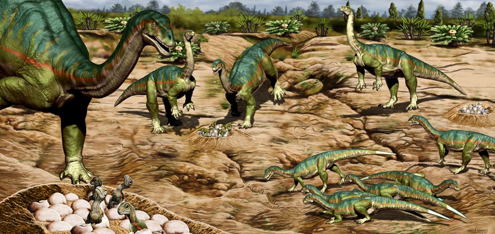 다이노+] 1억9300만 년 전부터 공룡은 무리 지어 다녔다
