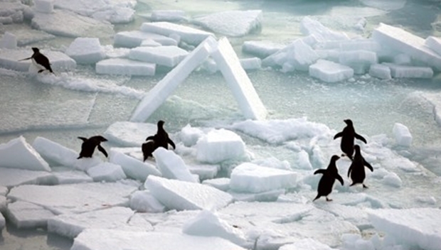 국제 사회가 남극 대륙을 보호할 기회를 또 놓쳤다. 30일 독일 RND는 남극해양생물자원보존위원회(Commission for the Conservation of Antarctic Marine Living Resources, 이하 CCAMLR)가 유럽연합 크기와 맞먹는 400만㎢ 규모의 남극 보호구역 지정안 합의에 실패했다고 보도했다./신화통신 연합뉴스 자료사진