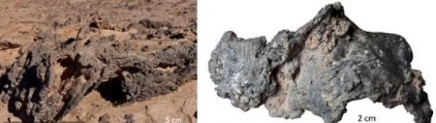 짙은 녹색이나 검은색으로 된 유리 파편 중에는 폭 50㎝에 달하는 큰 것부터 비틀려 있거나 접혀 있는 등 변형 흔적이 고스란히 남아 있는 것이 다수 존재한다.(사진=피트 슐츠/브라운대)