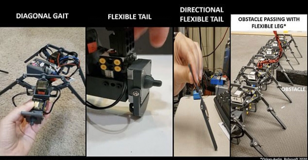 연구진은 센서 수를 줄이기 위해 다리를 유연하게 만들었다.(사진=사이언스 로보틱스)