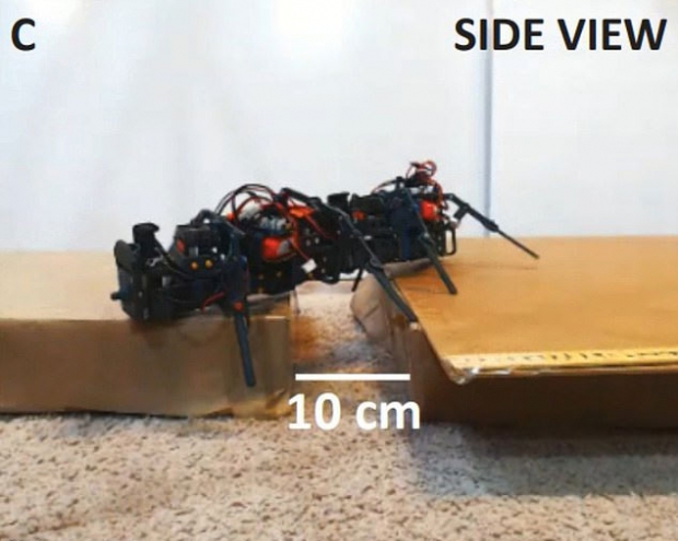 혼자 극복할 수 없는 지형에 직면한 로봇은 LED 센서로 동료를 불러 서로의 몸을 연결하는 방식으로 임무를 수행할 수 있다.(사진=사이언스 로보틱스)