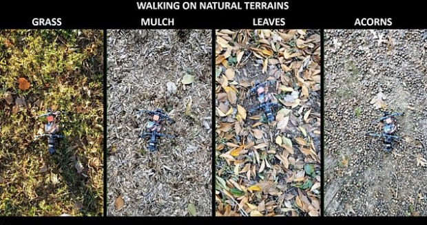 야외 환경에서 다양한 지형을 극복하는 임무를 수행하는 로봇 개미의 모습.(사진=사이언스 로보틱스)