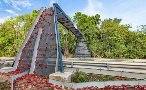 섬 주민들은 붉은게 행렬이 무사히 해변에 당도할 때까지 길을 열어준다. 호주 정부도 붉은게 보호를 위해 도로 곳곳을 폐쇄한다. 붉은게 전용 육교까지 설치해 붉은게들은 안전하게 유도한다.