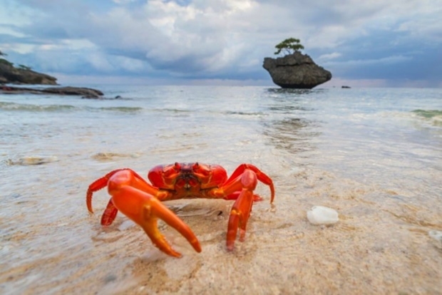 사진=호주국립공원관리청