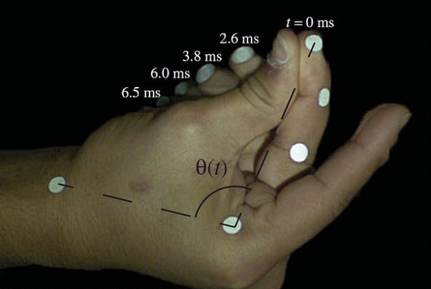핑거 스냅은 불과 7밀리초(ms, 1ms=1000분의1초) 사이에 일어났다.(사진=왕립학회 저널 인터페이스)