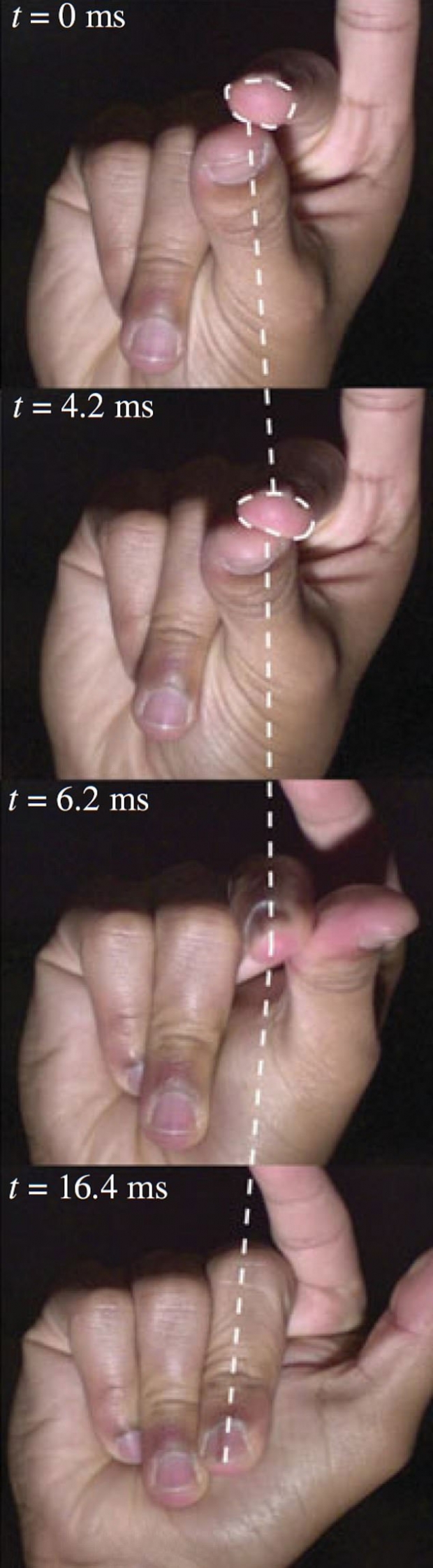 핑거 스냅의 최대 각속도(특정 축을 기준으로 각이 돌아가는 속력)는 7800deg/s, 최대 각가속도(각속도의 변화율)는 160만deg/s²에 달했다.(사진=왕립학회 저널 인터페이스)
