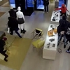 명품매장 우르르 몰려다니며 영화처럼 싹쓸이…美 떼도둑 기승