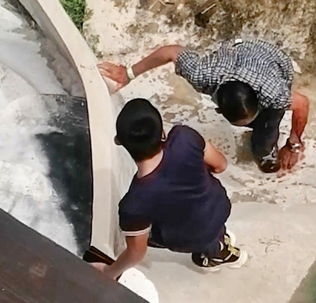 목격자가 촬영한 영상에는 팔을 물린 남성이 악어와 사투를 벌이다 겨우 수영장을 빠져나오는 모습이 담겨 있었다.