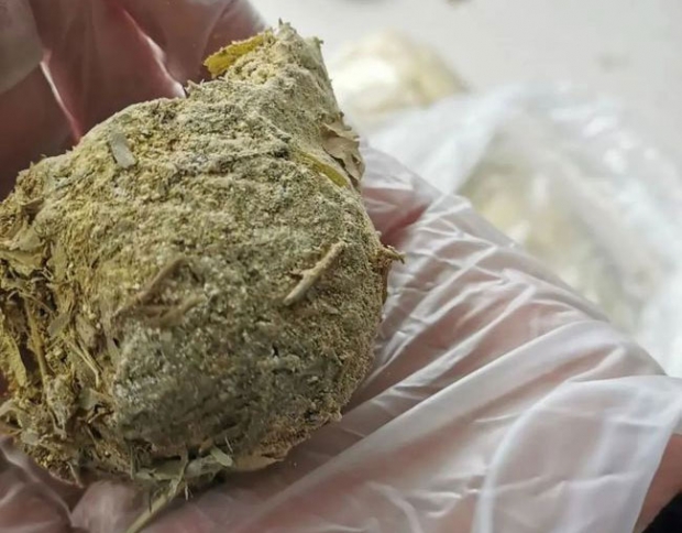 판다 분변 일부에서 아직 소화되지 못한 동물의 유해와 털이 발견되기도 했다.(사진=산시성 포핑 국가급자연보호구 관리국)