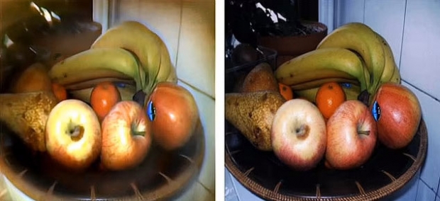 이번에 개발된 초소형 카메라로 촬영한 이미지(왼쪽)는 일반 카메라로 촬영한 이미지보다 프레임 가장자리 부근에서 약간의 흐릿함을 제외하고 거의 비슷한 선명도를 지녔다.(사진=네이처 커뮤니케이션) 