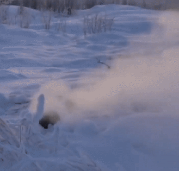 오이먀콘 눈밭에서 목격된 연기는 좀비화재 불씨가 아직 살아있다는 증거인 셈이다. 봄이 오면 시베리아는 또다시 산불과의 싸움을 시작해야 한다는 의미기도 하다.