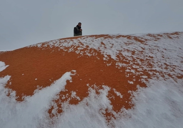 사진=카림 부셰타타 인스타그램(@karim_bouchetat)