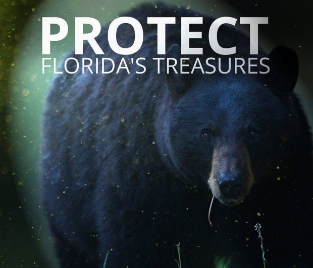 실제로 이번 습격 사고 이후 곰 보호단체 베어 디펜더스는 소셜미디어(SNS)를 통해 사람을 습격한 곰을 사살하는 현재 정책을 바꿔야 한다는 청원 글을 올렸다.(사진=베어 디펜더스/페이스북)