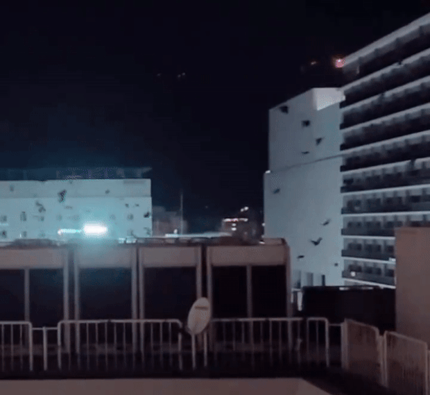 지진운, 심해어 출현, 동물 이상행동 등 지진 전조라 여겨지는 여러 현상은 사실 과학적으로 입증된 바가 없다. 지진 예측은 사실상 불가능하다는 게 전문가 의견이기도 하다. 하지만 대지진이 예상되는 ‘난카이 해저협곡’ 일대에서 발생한 지진에, 지진 전조를 둘러싼 불안감은 날로 커지고 있다.